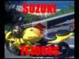Suzuki - TL 1000 S - 1998 -